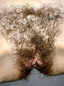 very hairy girls porn motion picture