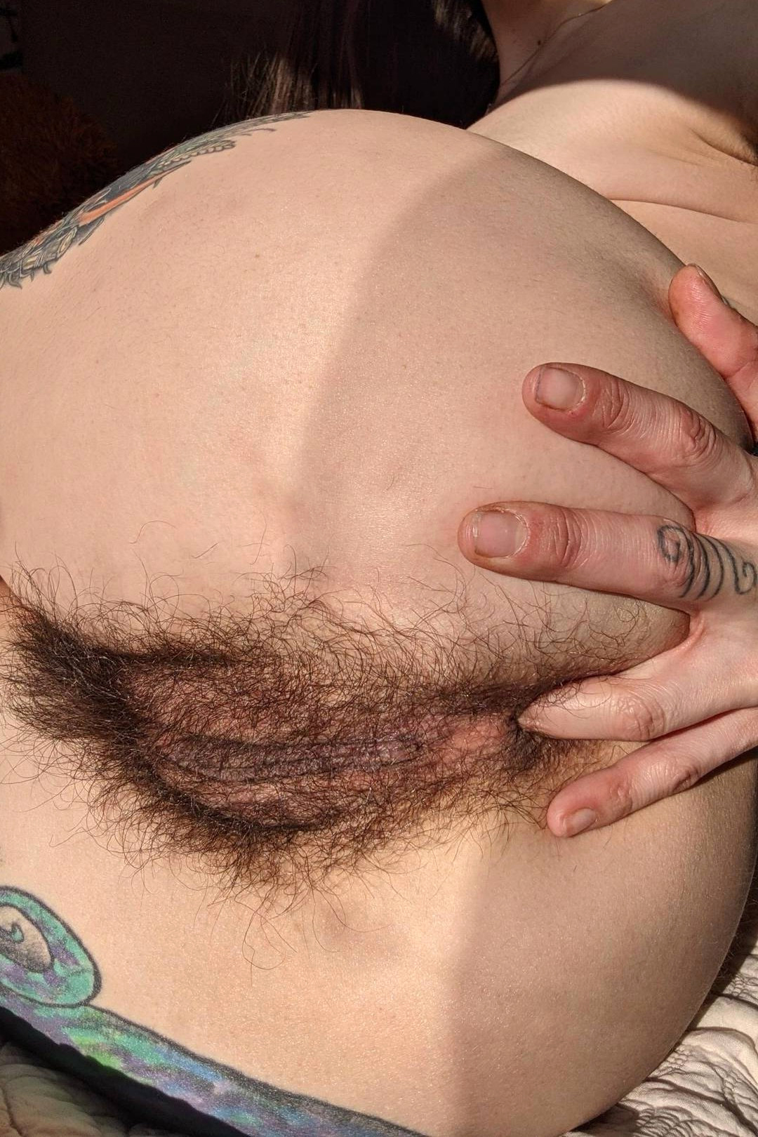 womans hairy asshole nude amateur